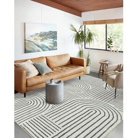 Lahome Lahome Abstract Washable Area Rug, 5x7 Rug for Bedroom Non-Slip Soft Living Room Rug, Ultra-Thin Modern Black and White Rug Throw Large Carpet for Dining Room (5'x7',Black)