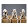 Venture Vehicles Ltd 3 Wise Skeletons | Gothic Decor |