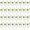 Retrowavy 32 Pieces Ivory Rose Boutonniere pins for Men Groom