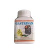 Oasis de salud NUEVO SELLADO GASTRISAN 500 MG X 90
