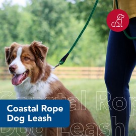Coastal Pet Rope Dog Leash - Tangle-Free Walking - Soft-Braided Nylon - Fade-Resistant Colors with Snap Swivel Hook - Purple, 1/2" x 06'