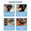 BurgeonNest Armrest Small Dog Car Seat - Portable Pet Booster