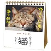 Active Corporation 2026 Calendar Desk-top Sunbathing Cat Chronicles 26ACL-539 2026