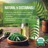 Pure Virgin Organic Neem Oil for Skin, Hair & Face