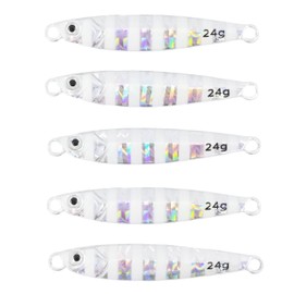 A・ZON (Aison) 0.2 oz (5 g) 7 g 10 g 15 g 20 g 24 g 30 g Metal Jig Asymmetric Body Center Balance Short Type No Hooks Bulk (Zebra Glow 5 Piece Set, 0.8 oz (24 g)