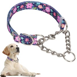 Chain Dog Collar, Heavy Duty Martingale Collar For Dogs Chew Proof, Adjustable For Training, Walking With Stainless Steel for Medium Large Breed Dogs