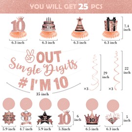 PHXEY - 25 piezas de decoraciones de décimo cumpleaños para niñas – Out Single Digits I'm 10 Banner oro rosa – Doble dígitos 10 cumpleaños fiesta colgante de remolinos mesa panal centros de mesa de
