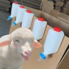 Leanockesa 2pcs Lamb Feeding Bottle, Hangable Goat Milk Feeder for