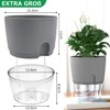 iDattel Herb Pot Kitchen Set, Window Sill, Self-Watering Set of