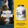 Levels Grass Fed Whey Protein Powder, No Artificials, 24G of