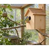 Wooden Bird House for Small Birds – Removable Bottom Net,