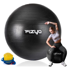 Fizyo Gymnastics Ball 65 cm with Pump - Thick Ball for Yoga, Pilates Balance, Pregnancy and Physiotherapy, Core, for Training, Birth, Home and Office with Tear Resistance (Black)