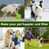 TAUCHGOE Interactive Dog Toy Ball