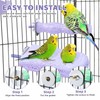 Parrot Perch Calcium Bird Bows, Bird Teeth Mouth Molar Teeth