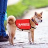 JXGZSO Training Ignore Do Not Stare Dog Jacket Vest Dog