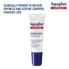 Aquaphor Lip Repair - Soothe Dry, Chapped Lips - Two