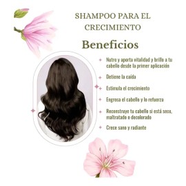 Shampo Orgánico Para Crecimiento Capilar 1l Andrea Damián                                                                                             