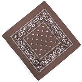 Unknown Biker Motorbike Bandana Head Scarf in Cloth Various Paisley Pattern Colours -