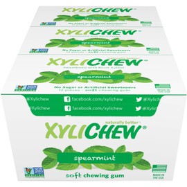 Xylichew 100% Xylitol Chewing Gum - Non GMO, Non Aspartame, Gluten Free, and Sugar Free Gum - Natural Oral Care, Relieves Bad Breath and Dry Mouth - Spearmint, 288 Count