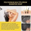 Negro Shampoo Tinte 530ml Natural Cubre Canas Jengibre Insta