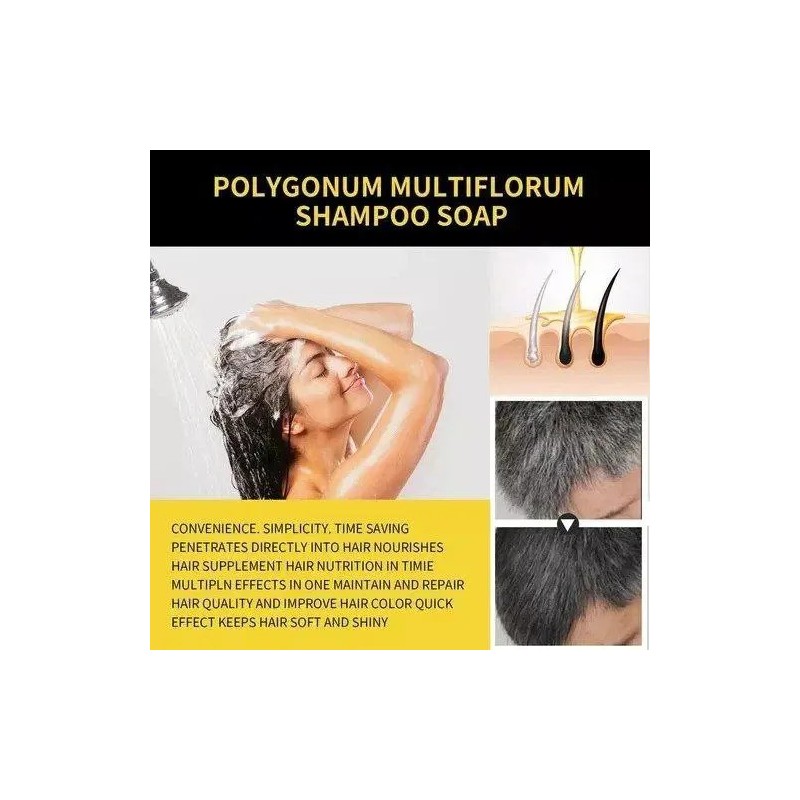 Negro Shampoo Tinte 530ml Natural Cubre Canas Jengibre Insta