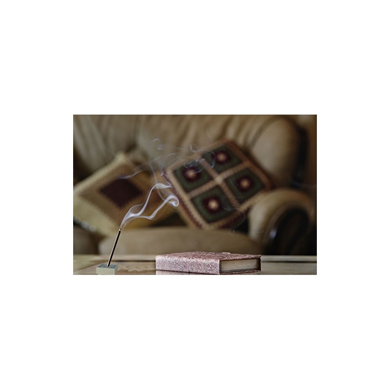 Trimontium 184 Nippon Kodo Morning Star Japanese Incense Sticks Duo
