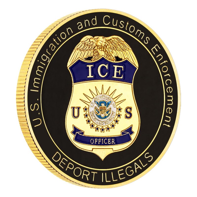 ICE Challenge Coin Homeland Security Collectible Coins Graduating Gifts (10