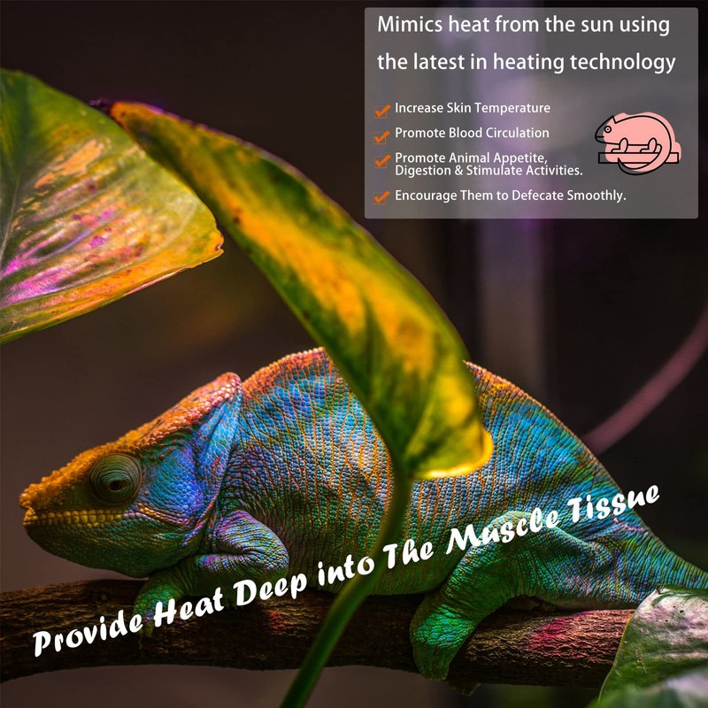 ExoRepti Deep Heat Projector Reptile Heat Lamp Bulb (DHP 100W,
