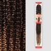 Outre Crochet Braids X-Pression Twisted Up Passion Water Wave II