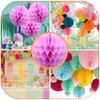 Ruidee Pack of 8 Paper Honeycomb Balls 20 cm Honeycomb