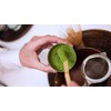 Keepaty Japanese Matcha Tea Set of 7 ,With100 Prong Matcha