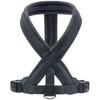 HUNTER LONDON Comfort Harness, S-M/1
