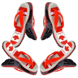 Beach Towel Clips, 4 Pcs Canada Maple Towel Clips for Beach Chairs Plastic Lounge Chair Towel Clips,Pool Clips to Keep Your Towel from Blowing Away for Family Daliy Use