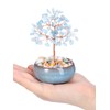 JSDDE Aquamarine Crystal Tree Reiki Healing Crystals Stone Tree Figurines