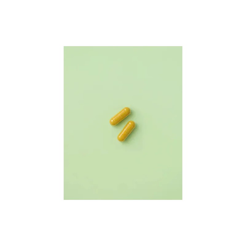 Detox Support - Suplemento Nutriadn Sabor N/a