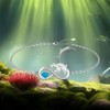Fenthring Dolphin Anklet Dolphin Ankle Bracelets for Women Summer Beach