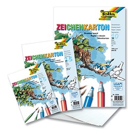 Folia 8840/25 Drawing Cards Small Format 250 g A4 Pack of 25