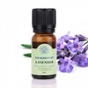 Lavender Aroma Essential Oil 12ml