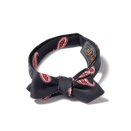 Beams Plus Necktie, Printed Paisley, Bowtie, Men's, navy