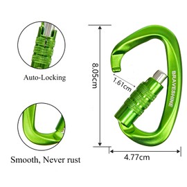 BRAVESHINE 2 Pack Carabiner Clip Heavy Duty, 12KN Auto Locking Carabiner, Twist Lock Carabiner Keyring, D Clips Hook for Hiking, Camping, Hammock, Dog Lead, Swing