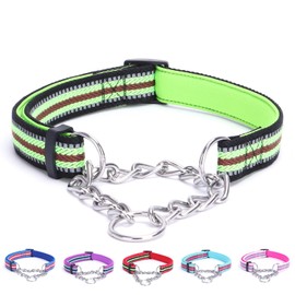 Alainzeo Reflective Martingale Dog Collars, Adjustable Soft Neoprene Padded Breathable Nylon Pet Collar for Puppy, Medium and Large Dogs,Green,M