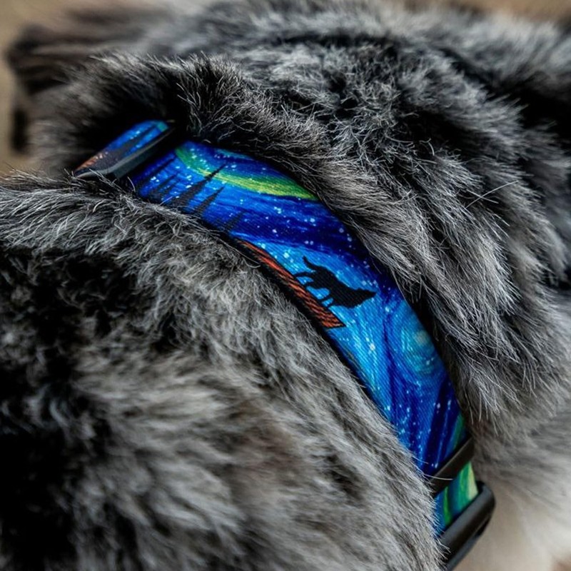 WOLFGANG/WildWolf Martingale (L Size) Width 1.0 inches (2.5 cm) x