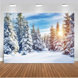 DHXXSC 7X5FT Christmas Backdrops for Photography Winter Snow Backdrop Christmas Photography Backdrop Cedar Blue Sky Snow World Background Winter Landscape Backdrop DH-850