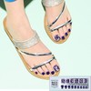 Dashing Diva x Magic Press Wishlist Pedicure 10 Types /