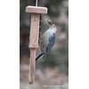Kettle Moraine Cedar Single Cake Tail Prop Suet Bird Feeder