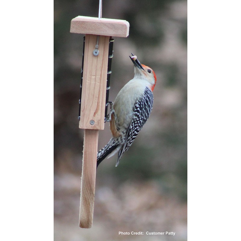 Kettle Moraine Cedar Single Cake Tail Prop Suet Bird Feeder