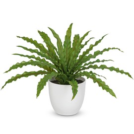 GnFlus Artificial Fern Plant in White Pot, 11 Inch Fake Bird’s Nest Ferns Plants Faux Potted Fern Plants for Home Living Room Bathroom Kitchen Office Table Indoor Decor