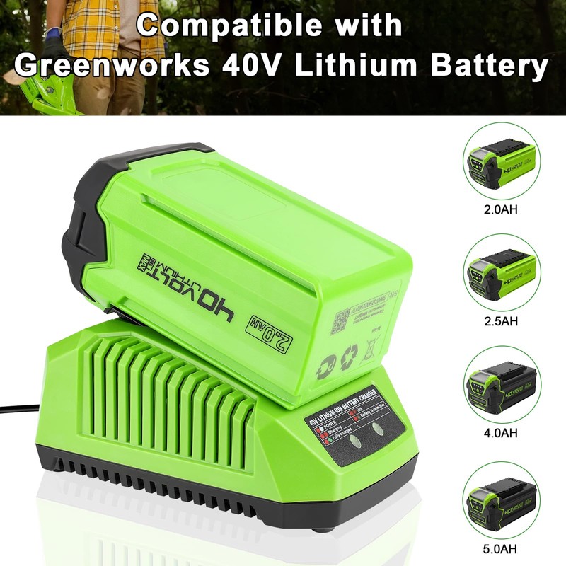 GRVODFRTA 40 Volt Battery Charger Compatible with Greenworks 40V G