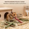 YIPFEN 20 Giocattolo da Masticare per Conigli Bastoncini di Fieno