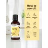 Horbäach Vanilla Fragrance Oil 1 fl oz | Premium Grade